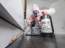 Best Fumigation Services  in Sheldon, IL